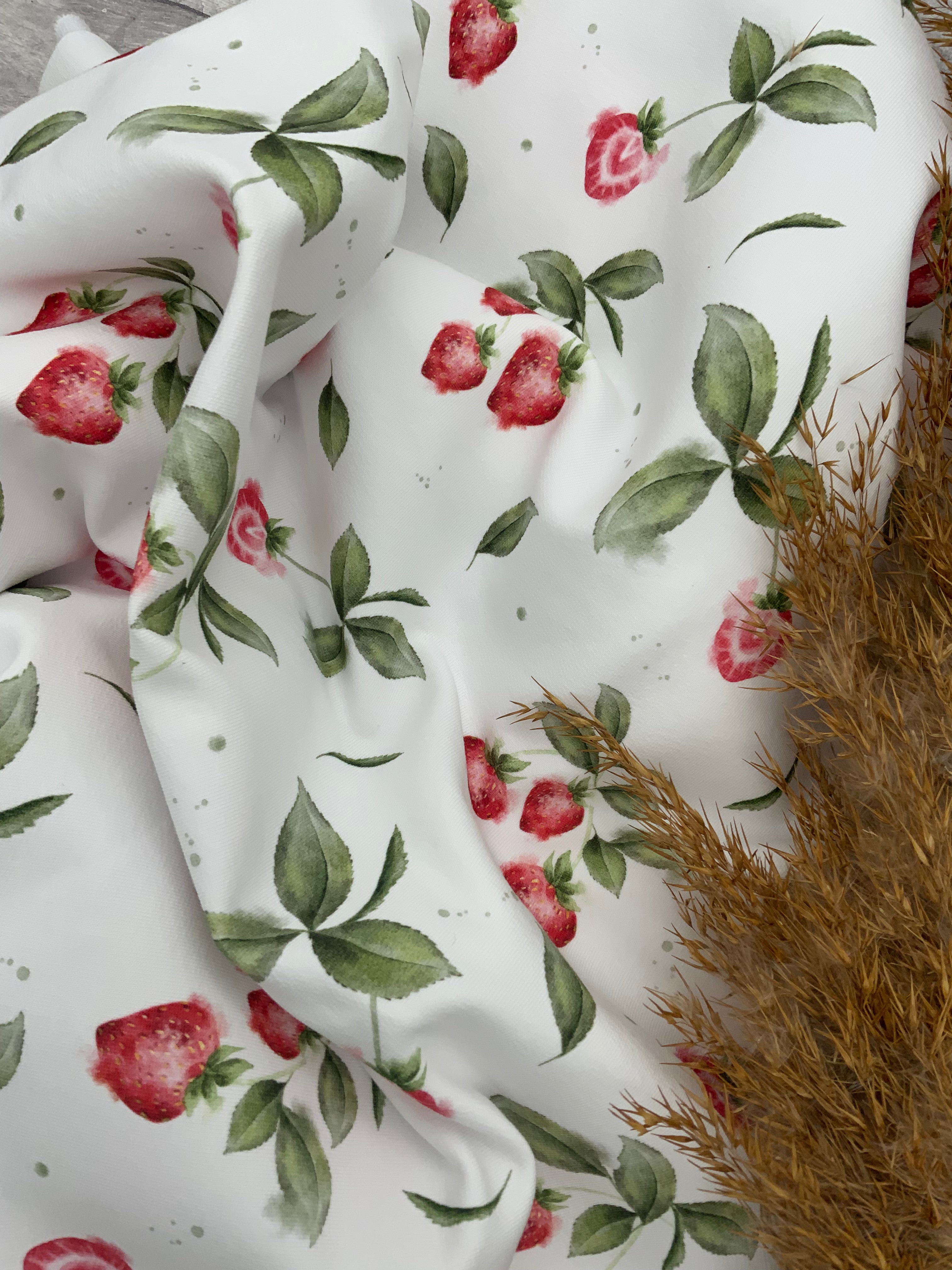 Erdbeeren Dauervorbestellung